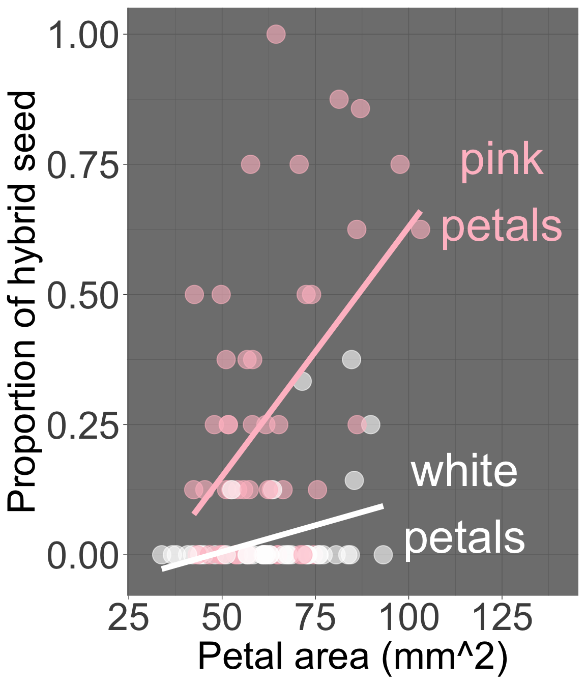 Scatterplot of proportion of hybrid seed (y-axis) versus petal area in mm² (x-axis), with points colored by petal color (pink or white) and corresponding colored regression lines. The pink-petaled group has a higher intercept, but both lines share a similar slope visually. Note: the model used does not include an interaction term, so any difference in slope is visual and not statistically estimated in our model below.