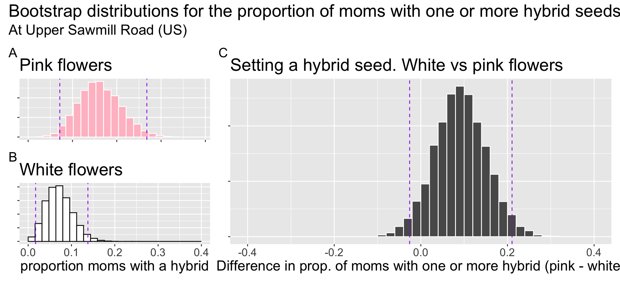 Three histograms showing bootstrap results for plant reproduction. Panel A shows the distribution for the proportion of pink-flowered plants setting a hybrid seed, centered around 0.15. Panel B shows the same for white-flowered plants, centered around 0.08. Panel C is a larger histogram showing the distribution of the difference in proportions (pink minus white). Vertical dashed lines on this third plot show a 95% confidence interval that only slightly overlaps with zero.