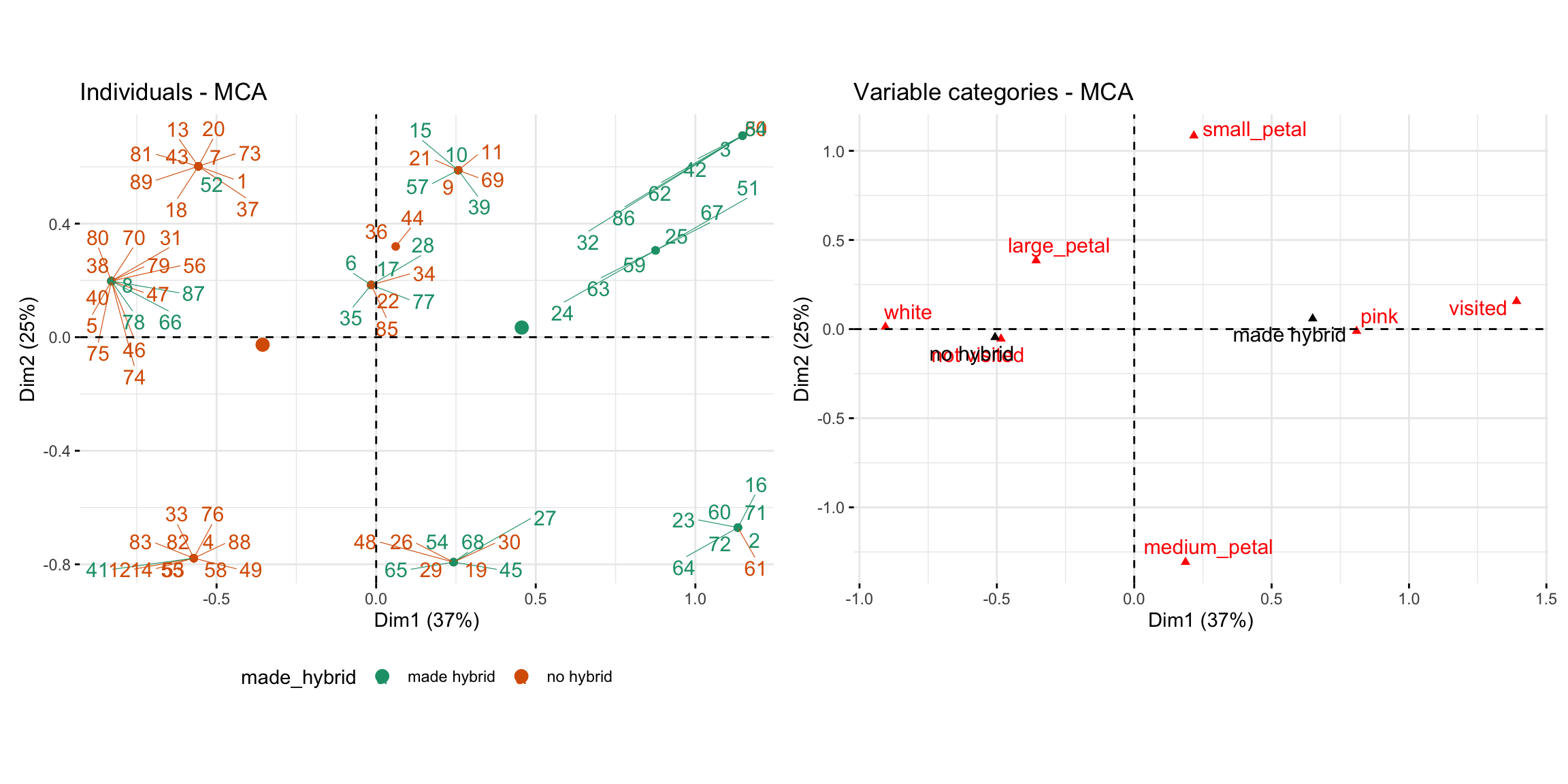 Plots from an MCA of categorical parviflora traits. Left: A scatterplot of individual lines colored by whether they made hybrid seed. Points cluster by category and are connected to the centroid of their group. Right: The same MCA space showing only trait categories (e.g., `white`, `pink`, `visited`, `not visited`). Red triangles mark variable levels, positioned based on their contribution to Dim 1 and Dim 2. Categories associated with hybrid formation are shifted to the right.