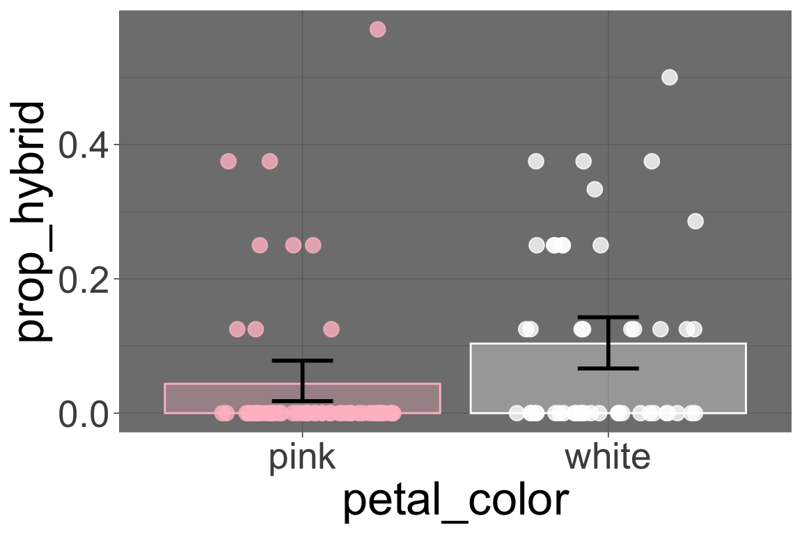 A boxplot comparing the "prop_hybrid" for two categories on the x-axis: "pink" and "white." For the "pink" category, most data points are clustered near zero. For the "white" category, the data points are more spread out, with many points between 0.2 and 0.5. The mean and confidence interval for the "white" category is visibly higher than for the "pink" category.