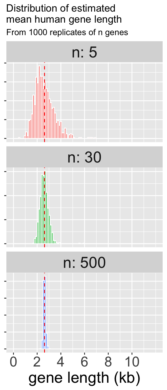 A multi-panel plot showing three histograms of estimated mean human gene length, illustrating the effect of sample size. The panels are stacked vertically for sample sizes of n=5, n=30, and n=500. As the sample size increases down the chart, the histogram becomes dramatically narrower, indicating that the estimates of the mean are much less variable and more precise. The top plot (n=5) is wide and red, the middle (n=30) is narrower and green, and the bottom (n=500) is extremely narrow and blue. A vertical dashed red line in each plot marks the mean of the estimates.