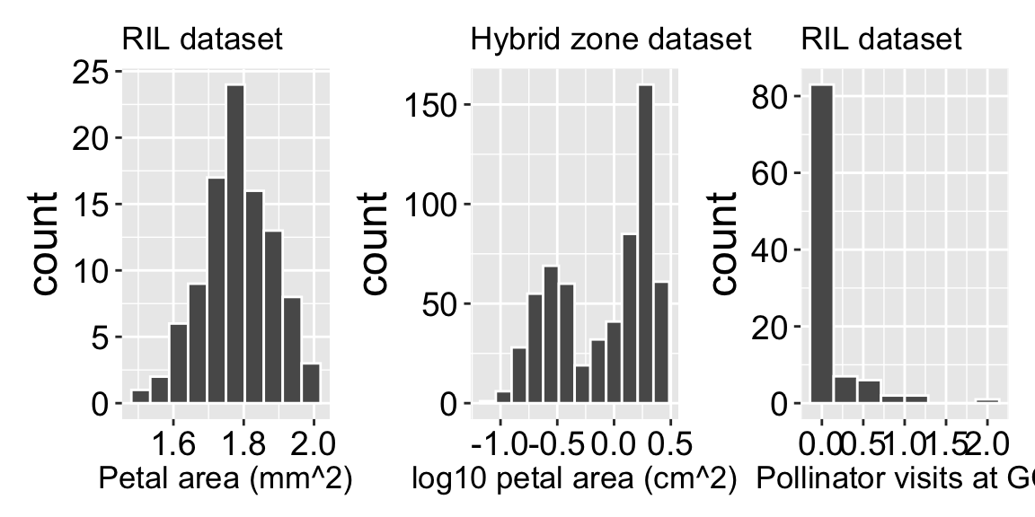 A set of three histograms comparing trait distributions in Clarkia datasets. The left panel, labeled 'RIL dataset,' shows a histogram of petal area (log10 mm^2), with a unimodal distribution centered around 1.8 log10 mm^2. The middle panel, labeled 'Hybrid zone dataset,' displays a histogram of log10-transformed petal area (in log10 cm^2), appearing bimodal with peaks near -0.5 and 0.5. The right panel, also from the RIL dataset, shows pollinator visits at GC, with a strongly right-skewed distribution where most values are close to zero.