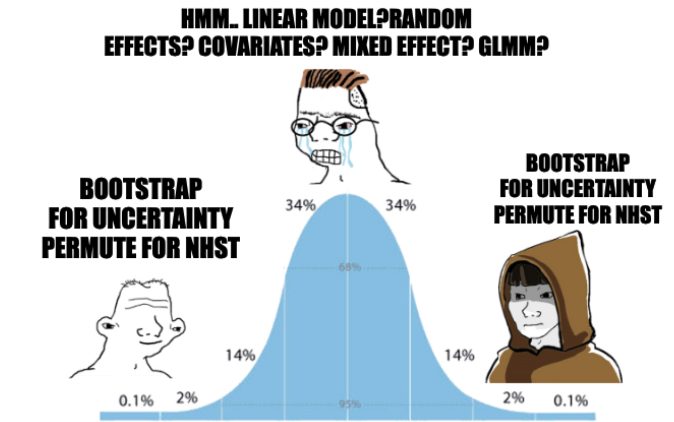 A normal distribution is shown with three characters. At the low and high ends of the curve are characters representing simple and expert approaches, both labeled "Bootstrap for uncertainty, Permute for NHST." In the large, central part of the curve is a crying character overwhelmed by a list of complex statistical models like "Linear Model" and "GLMM." This is an adpatation of the popular meme.