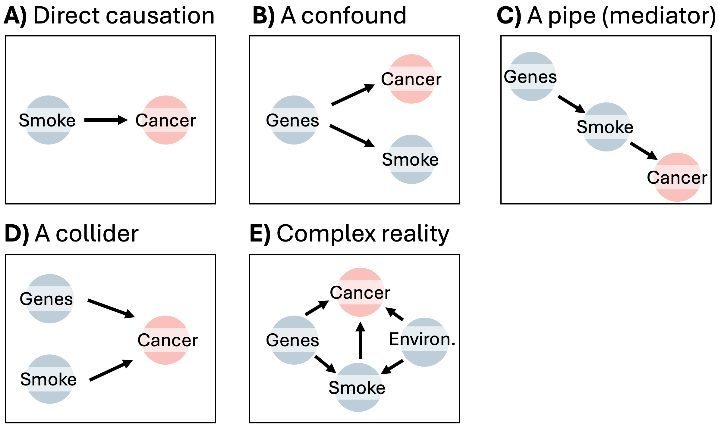 DAGs showig potential causal relationships among Genes, Smoke, Environment, and Cancer, with Cancer shown in red. Panel A shows Smoke → Cancer. Panel B shows Genes → Smoke and Genes → Cancer (a confounder). Panel C shows Genes → Smoke → Cancer (a mediator). Panel D shows Genes → Cancer and Smoke → Cancer (a collider). Panel E shows a more complex network: Genes → Smoke, Environment → Smoke, Genes → Cancer, Environment → Cancer, and Smoke → Cancer.