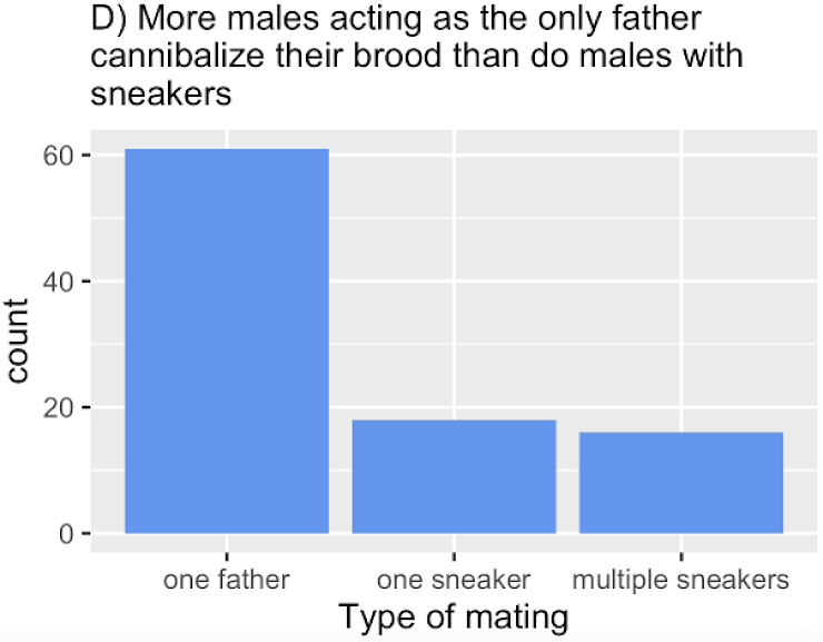 A bar plot titled "D) More males acting as the only father cannibalize their brood than do males with sneakers." The x-axis shows three mating conditions: "one father," "one sneaker," and "multiple sneakers." The y-axis shows the count of males who cannibalized their brood. The tallest bar corresponds to "one father" (~60 males), while the other two bars ("one sneaker" and "multiple sneakers") are much shorter (~18 males each). However, this plot shows only the absolute number of cannibalism cases and does not account for differing total group sizes or proportions.
