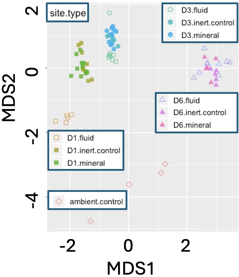 A scatterplot showing the results of non-metric multidimensional scaling (NMDS) based on Bray–Curtis dissimilarity of microbial communities in biofilms. Samples are grouped by shape and color according to treatment type and site (D1, D3, D6, ambient control). Each cluster is distinct, suggesting differences in microbial composition across sites and treatments. Axis labels are MDS1 and MDS2.