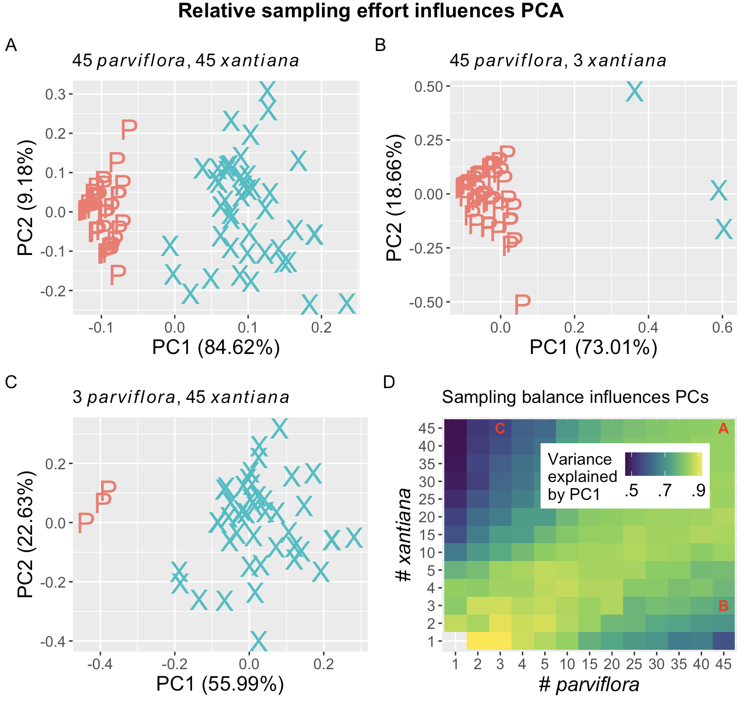 Four-panel figure showing how the results of PCA change with different sampling balances between two *Clarkia* subspecies. Panels A–C display PC1 vs. PC2 plots for three sampling configurations: equal sampling (45 each), and two imbalanced cases (45:3 and 3:45). As sampling becomes more imbalanced, the variance explained by PC1 decreases (84.62% → 73.01% → 55.99%). Panel D is a heatmap summarizing this effect across all sample combinations from 1 to 45 for each group, with brighter colors indicating higher variance explained by PC1. Locations of Panels A–C are marked within the heatmap.